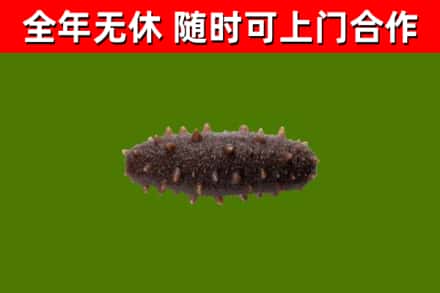 珠海市烟酒回收干海参.jpg